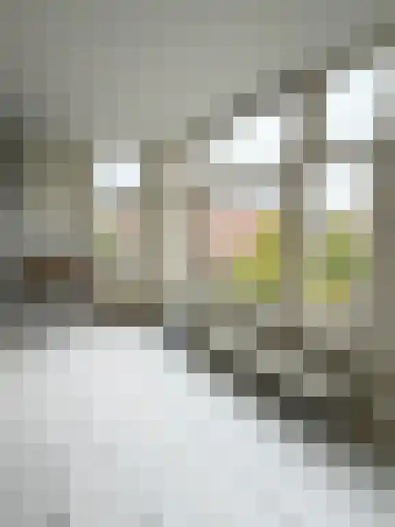 Jan Pieter Heijestraat 2 Amsterdam thumbnail 4