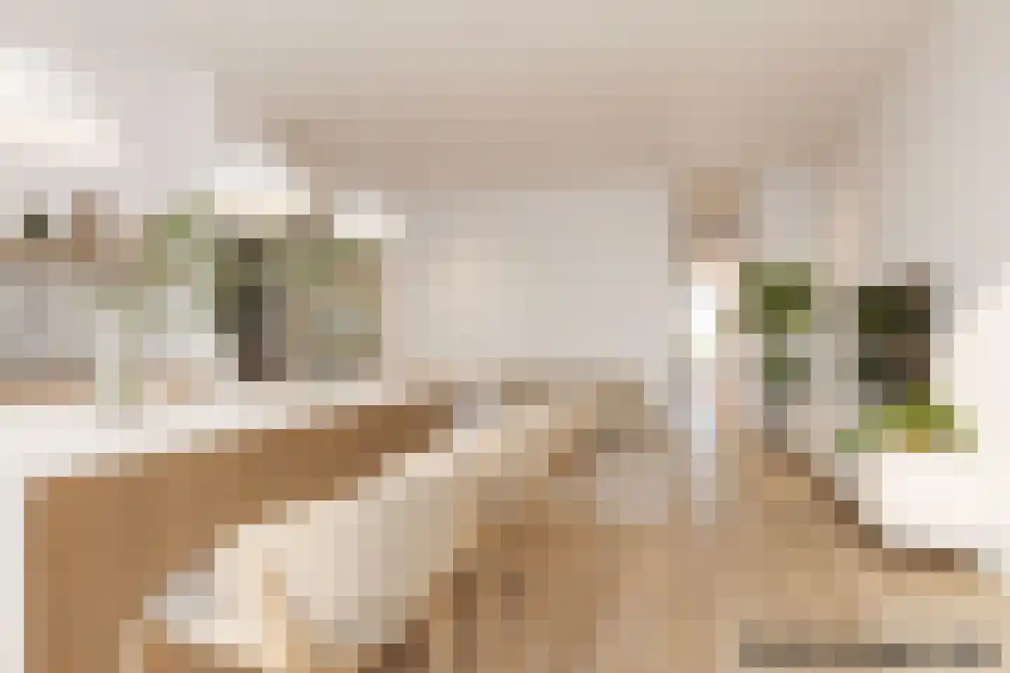 Jan Pieter Heijestraat 56 Amsterdam thumbnail 5