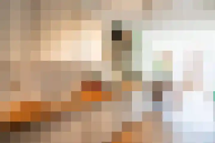 Jan Pieter Heijestraat 96 3 Amsterdam thumbnail 10