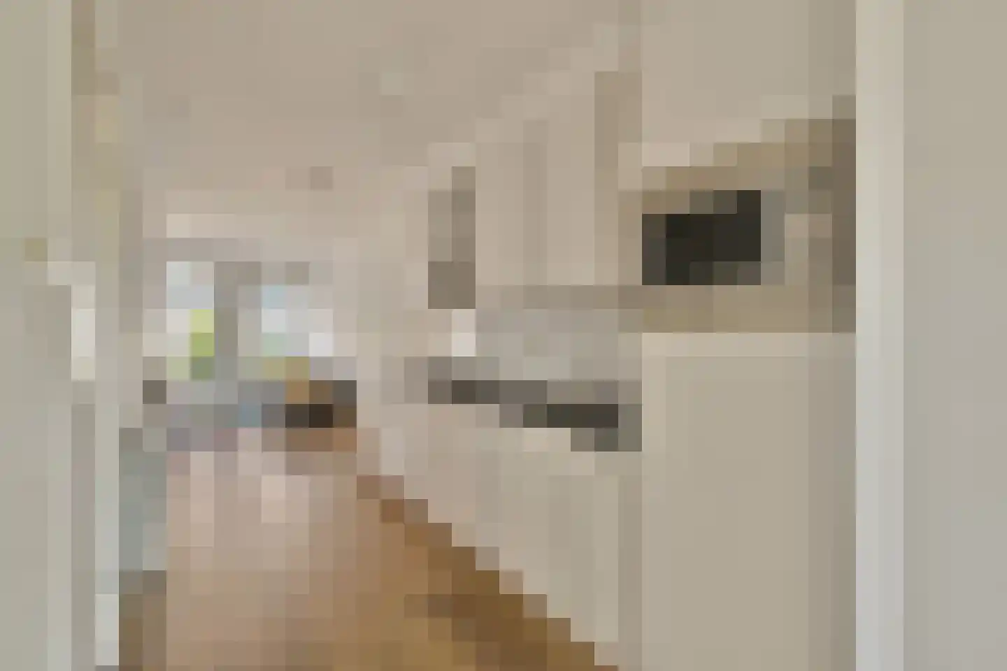 Jan Pieter Heijestraat 98 2 Amsterdam thumbnail 12