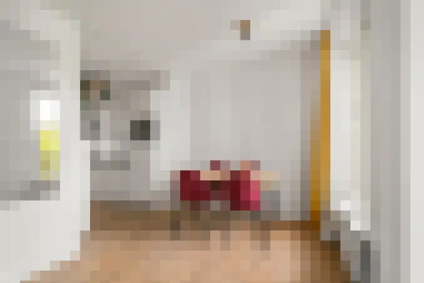 Jan Pieter Heijestraat 98 2 Amsterdam thumbnail 16