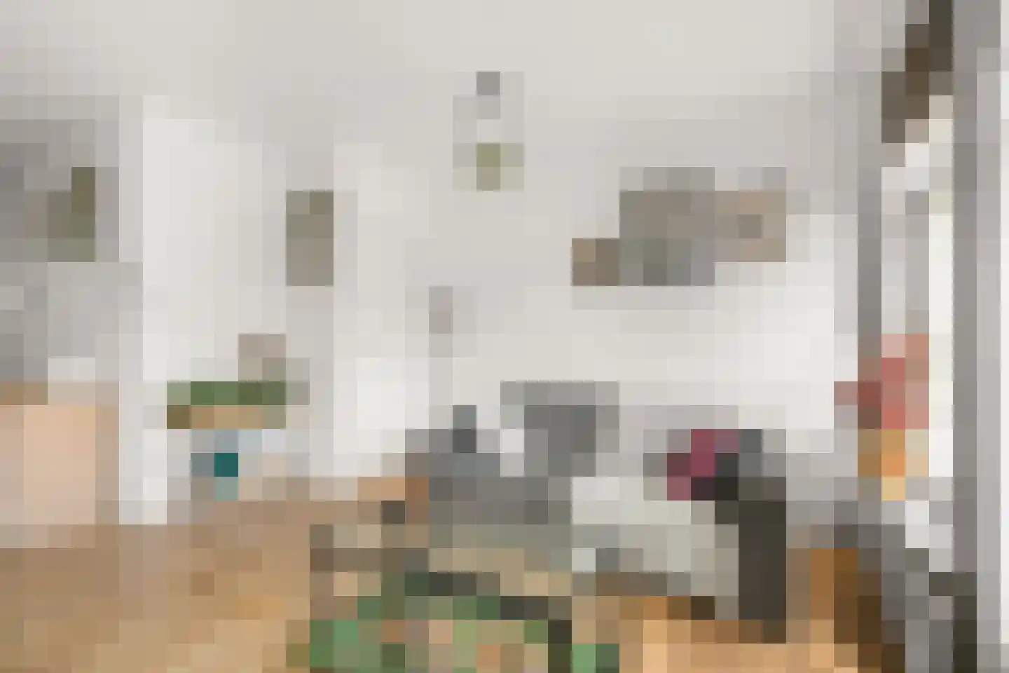 Jan Pieter Heijestraat 98 2 Amsterdam thumbnail 8