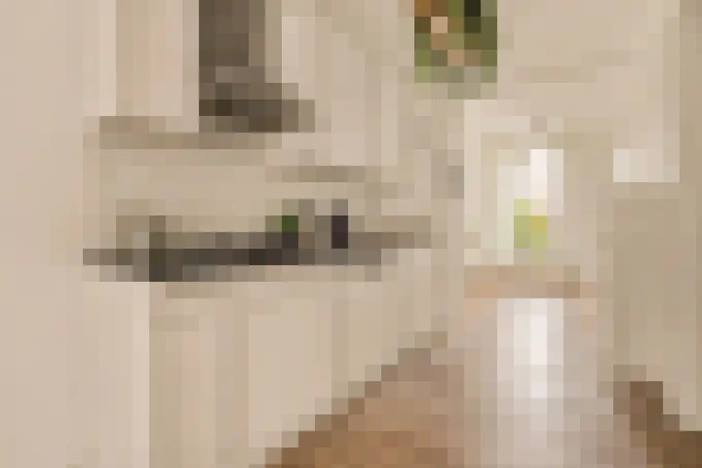 Jan Pieter Heijestraat 98 3 Amsterdam thumbnail 13