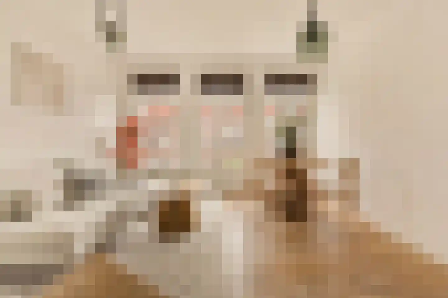 Jan Pieter Heijestraat 98 3 Amsterdam thumbnail 5