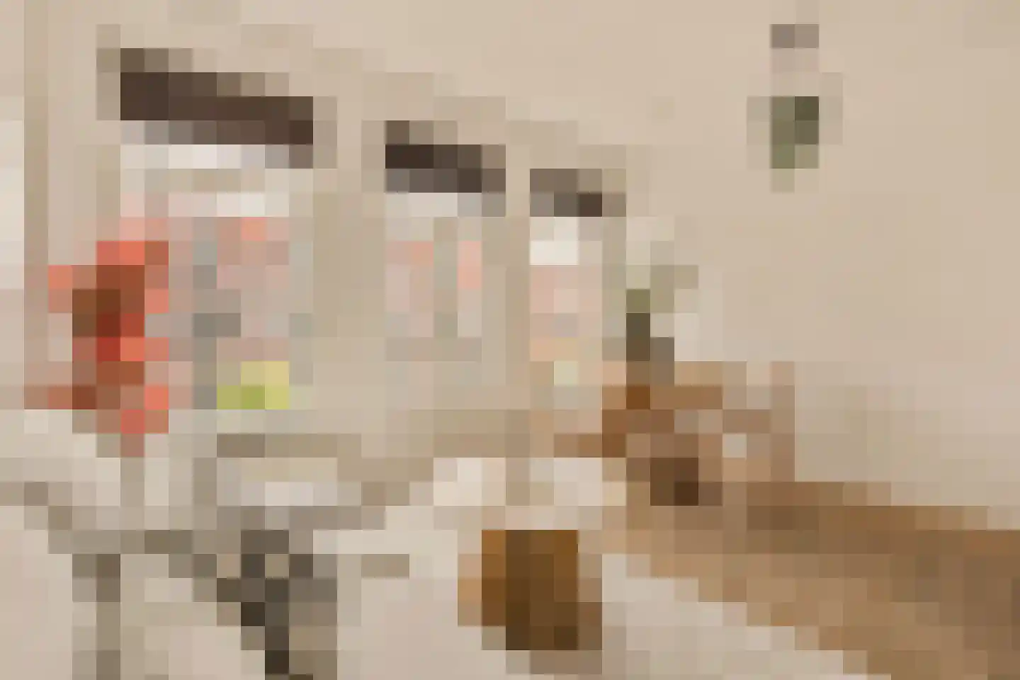 Jan Pieter Heijestraat 98 3 Amsterdam thumbnail 7