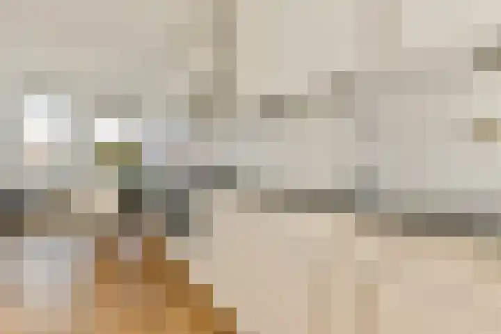 Jan Pieter Heijestraat 98 4 Amsterdam thumbnail 10