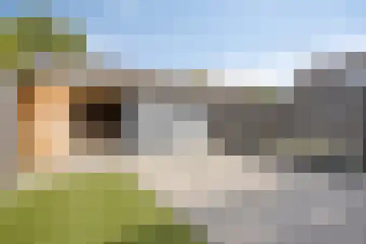 Jan Pietersz. Coenstraat 28 Best thumbnail 27