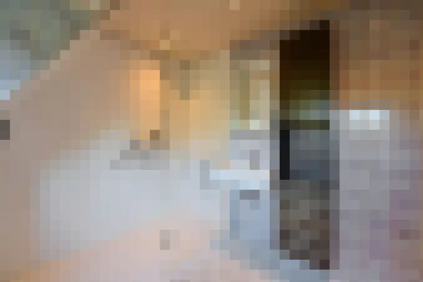 Jan Pietersz Sweelincklaan 1 Bussum thumbnail 12