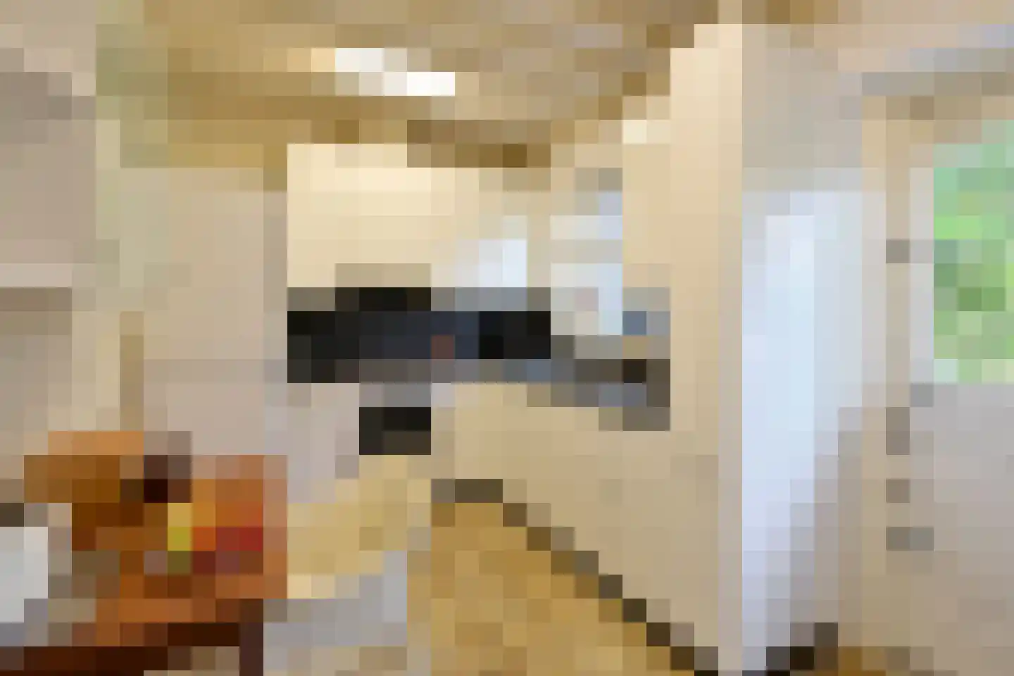 Jan Pietersz Sweelincklaan 1 Bussum thumbnail 8