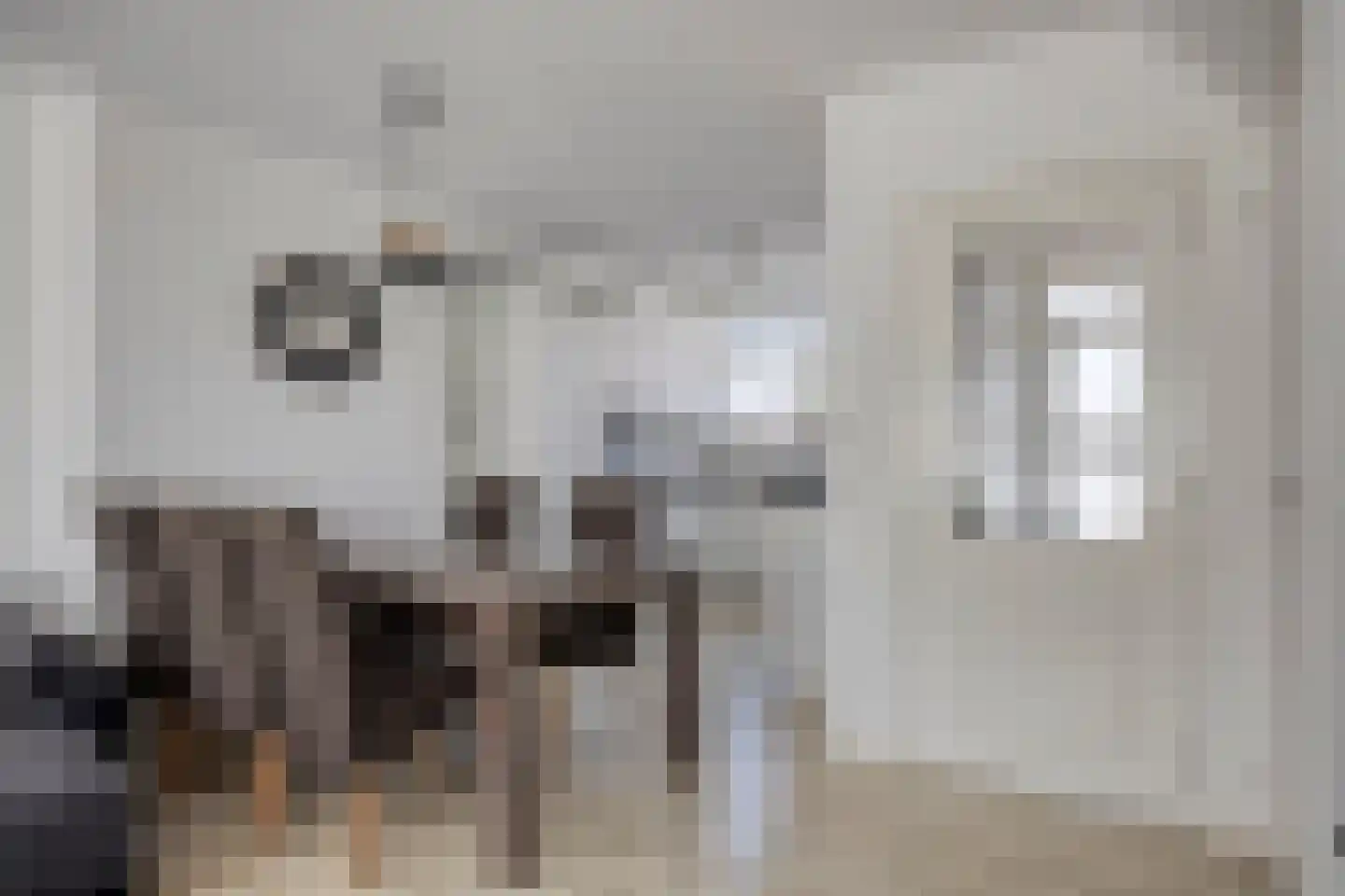 Jan Pieterszoon Coenlaan 12 Alphen aan den Rijn thumbnail 12