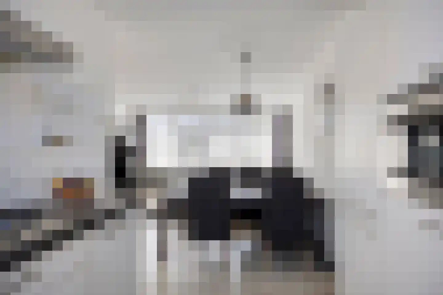 Jan Pieterszoon Coenlaan 12 Alphen aan den Rijn thumbnail 14