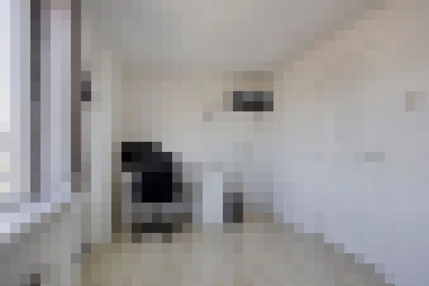Jan Pieterszoon Coenlaan 12 Alphen aan den Rijn thumbnail 26