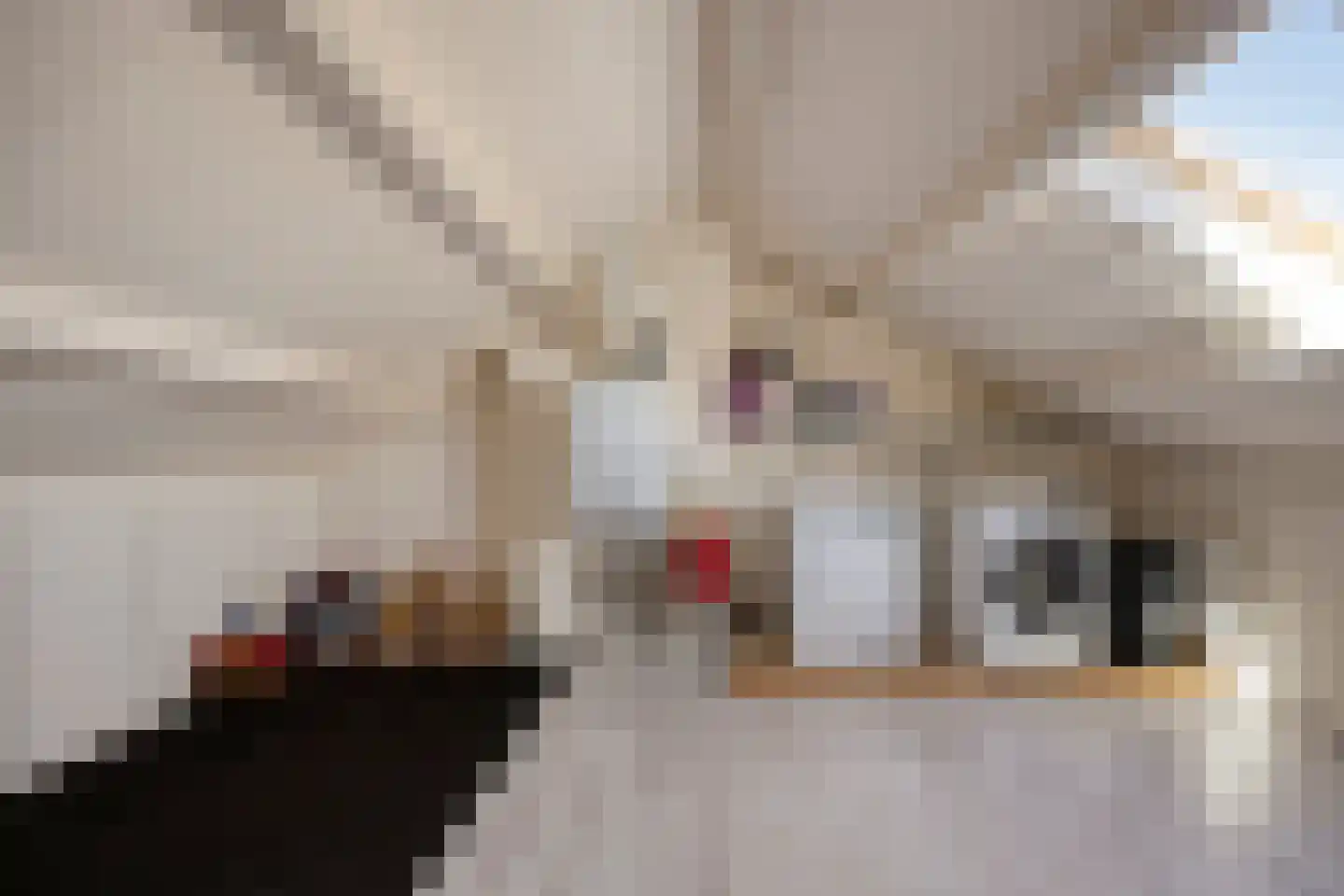 Jan Pieterszoon Coenlaan 12 Alphen aan den Rijn thumbnail 34