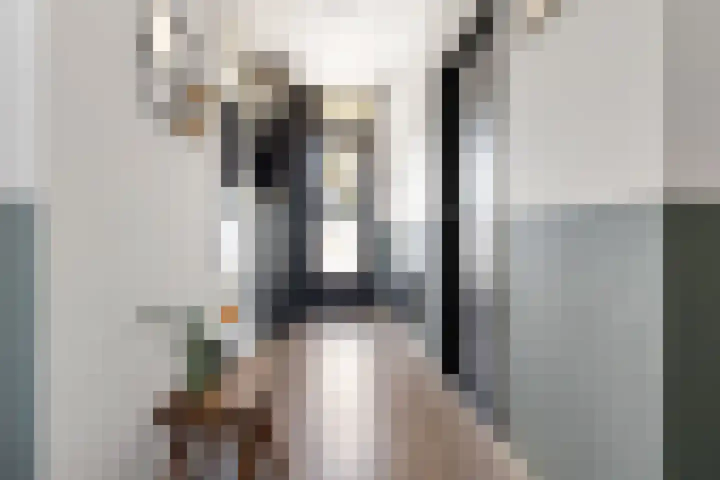 Jan Pieterszoon Coenlaan 22 Alphen aan den Rijn thumbnail 8