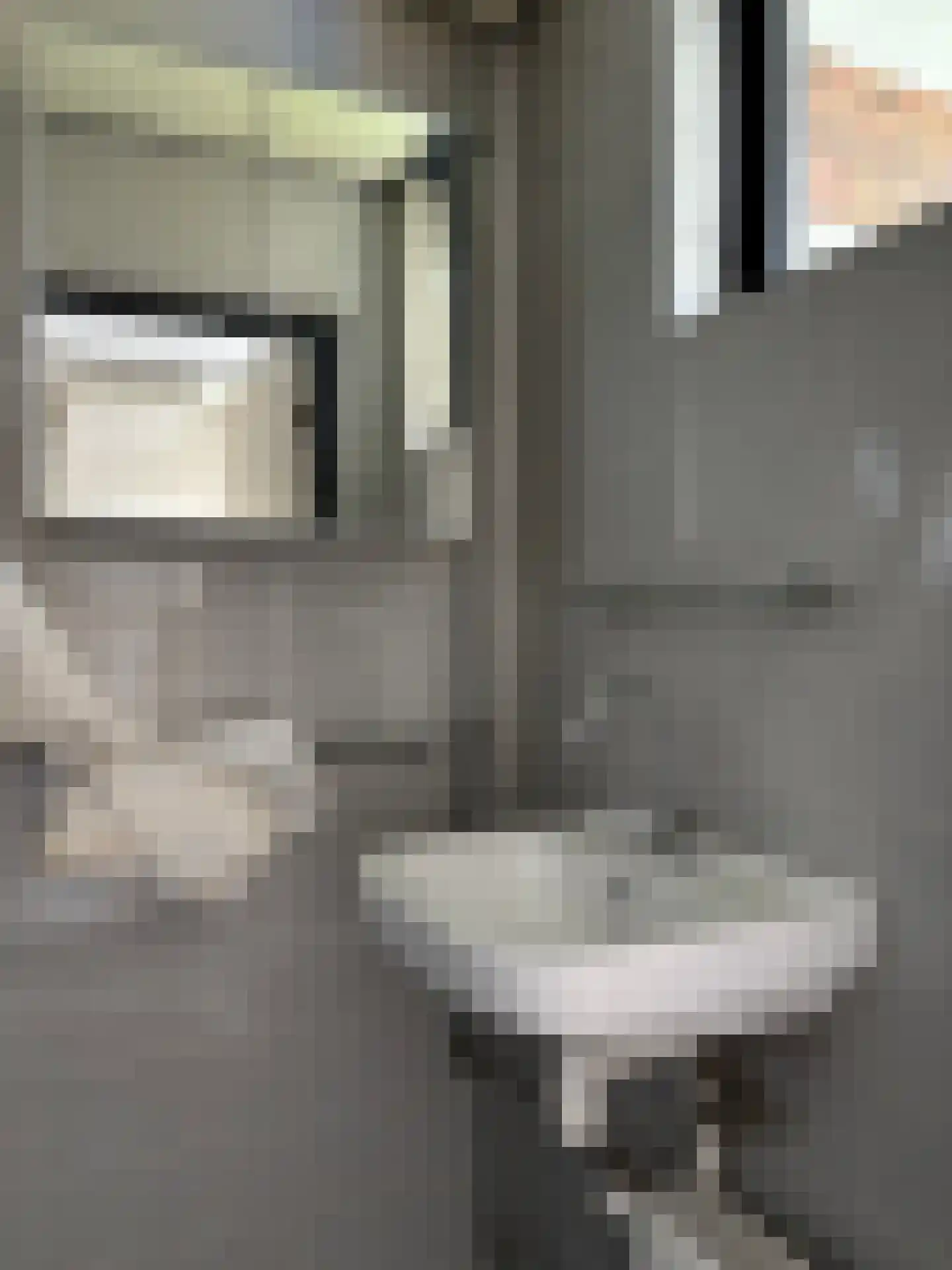 Jan Pieterszoon Coenlaan 3 Alphen aan den Rijn thumbnail 10