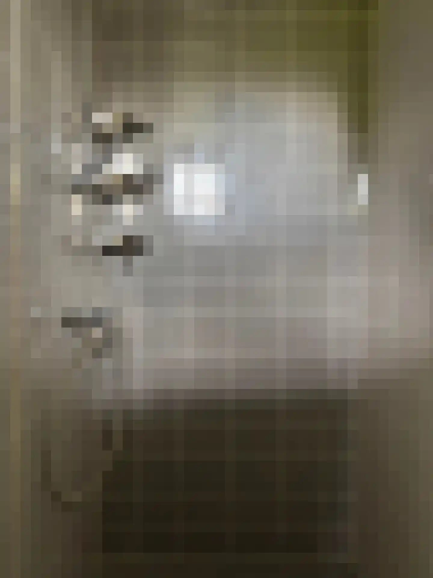 Jan Pieterszoon Coenlaan 3 Alphen aan den Rijn thumbnail 11