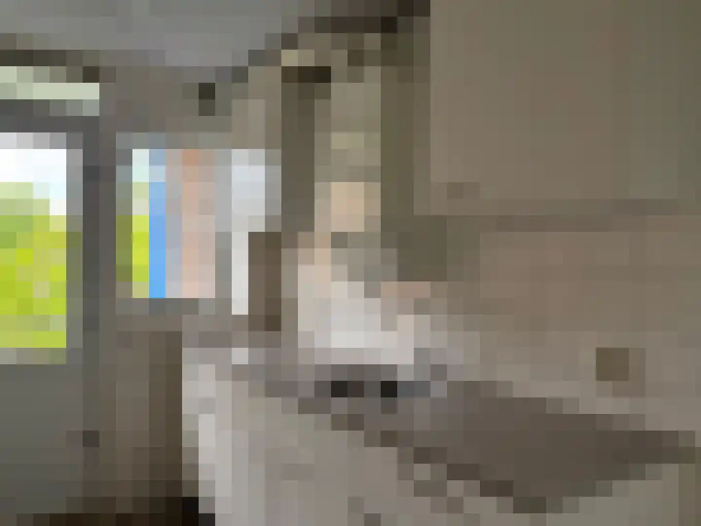 Jan Pieterszoon Coenlaan 3 Alphen aan den Rijn thumbnail 7