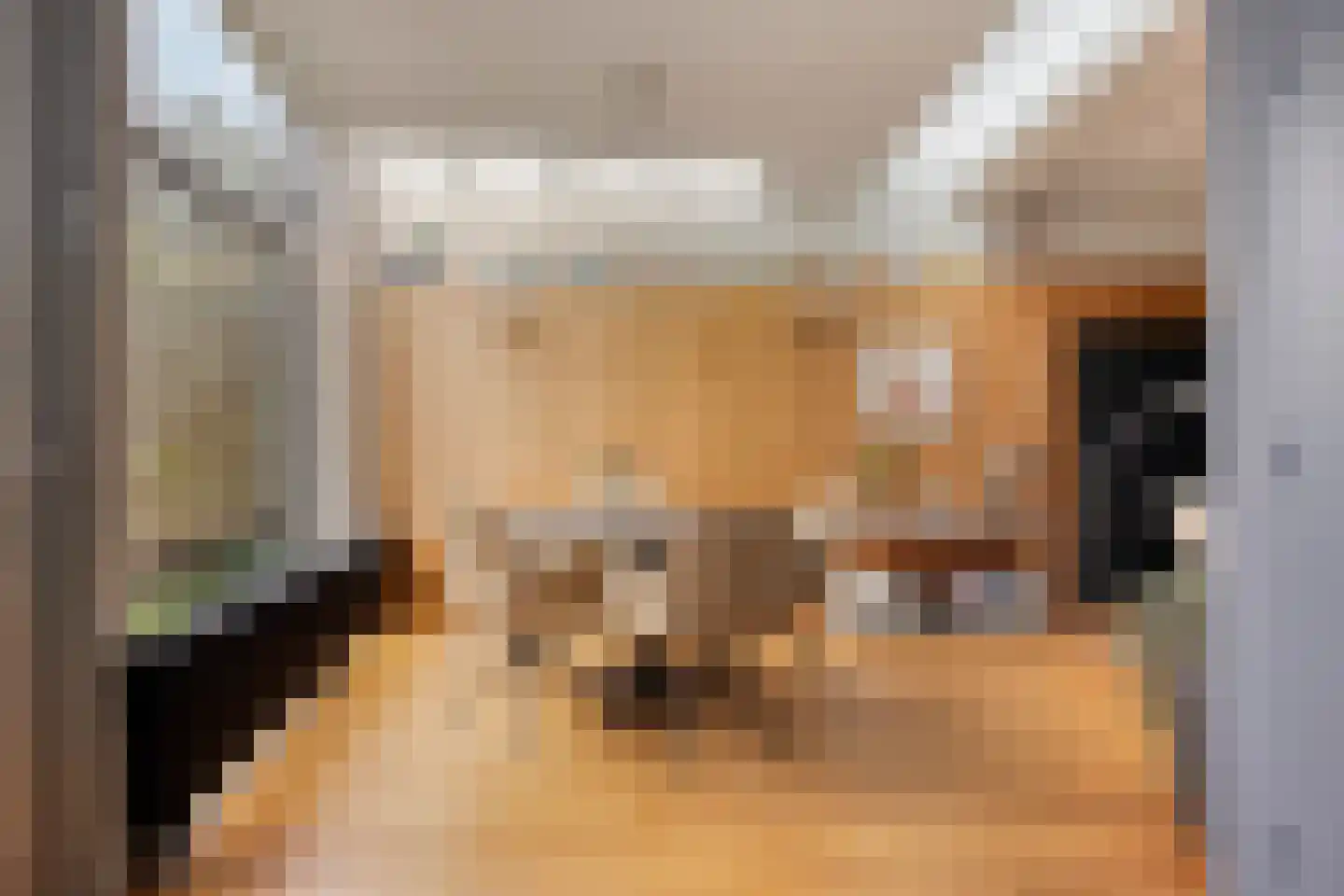 Jan Pieterszoon Coenstraat 1 e Tilburg thumbnail 10