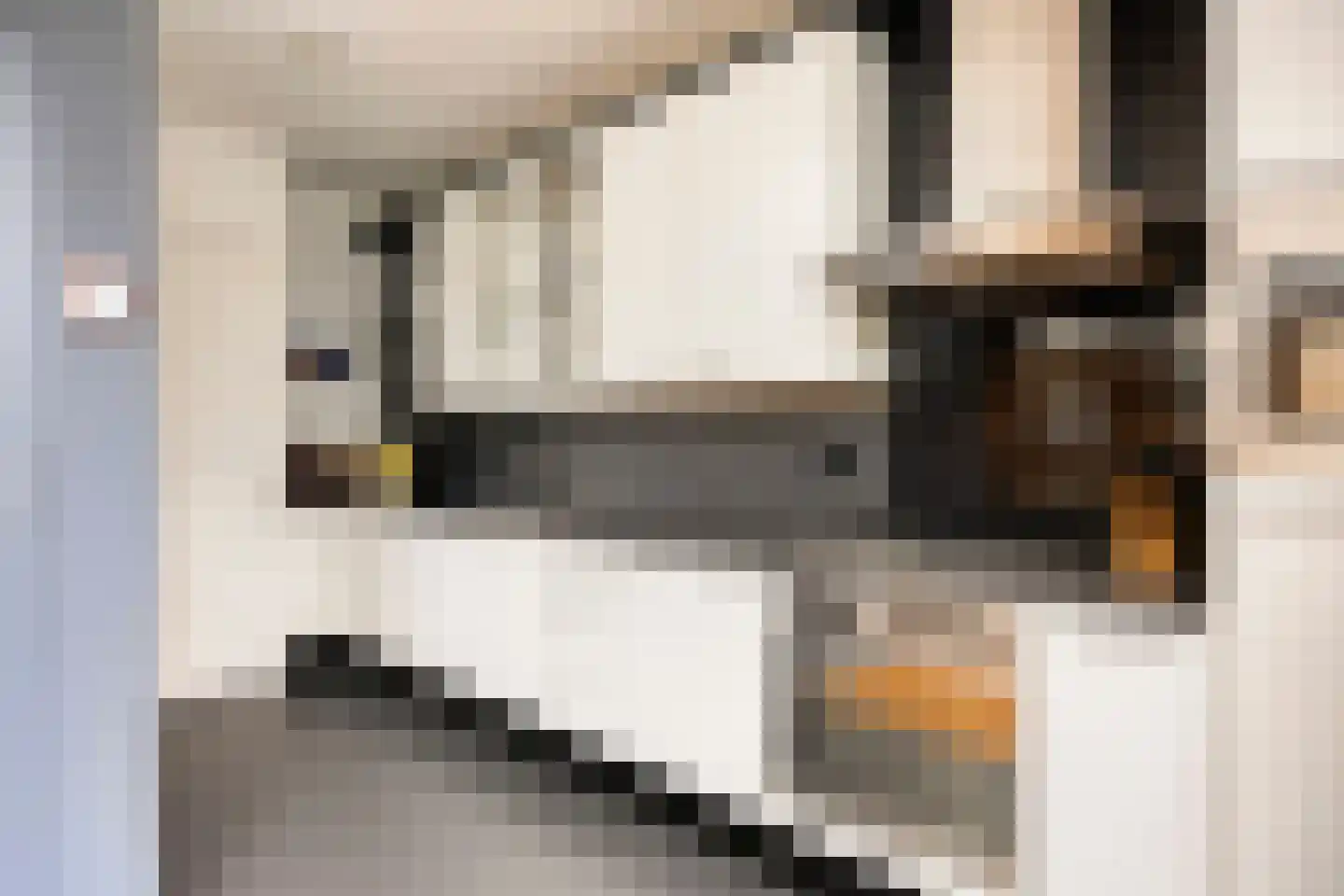 Jan Pieterszoon Coenstraat 1 e Tilburg thumbnail 11