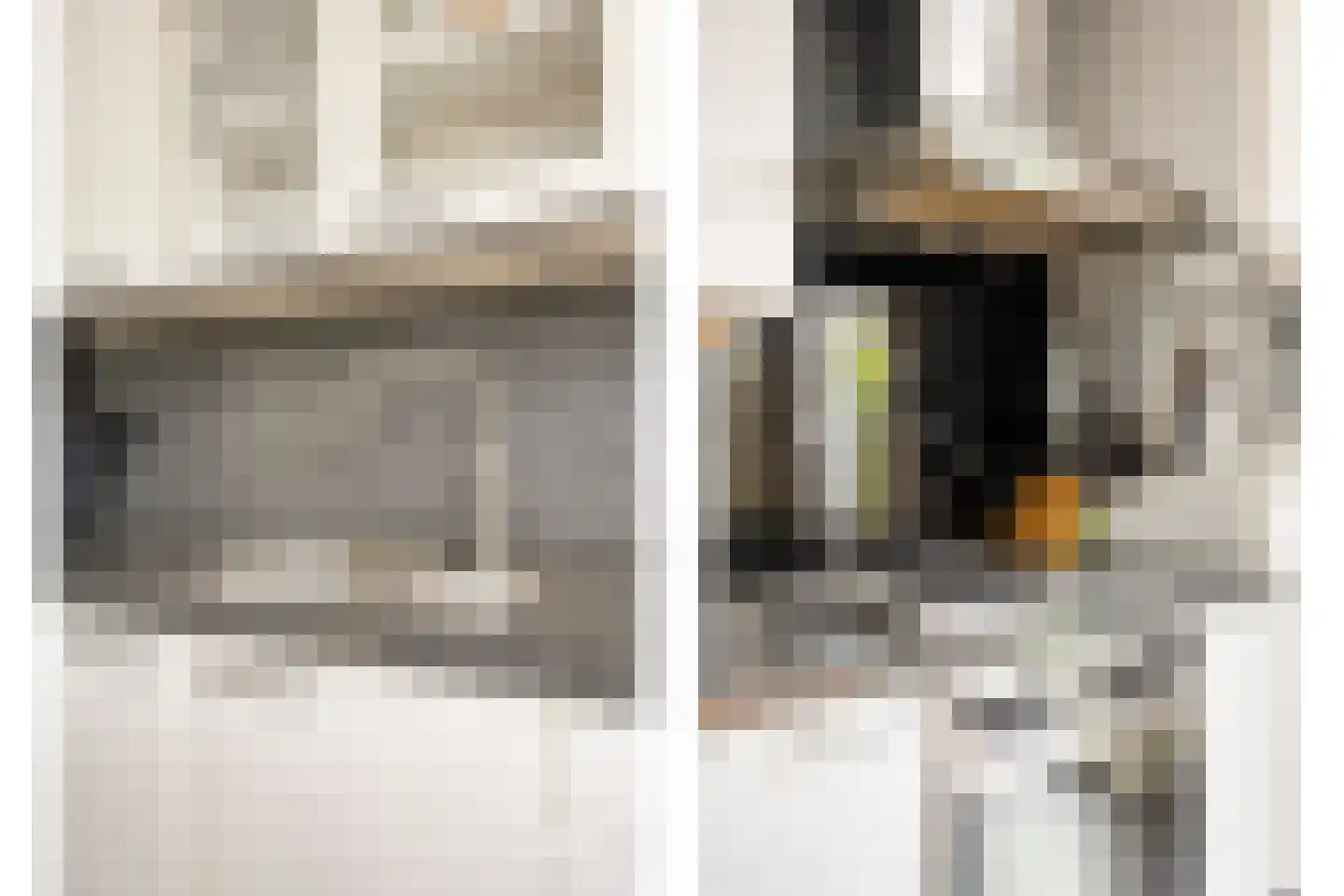 Jan Pieterszoon Coenstraat 1 e Tilburg thumbnail 12