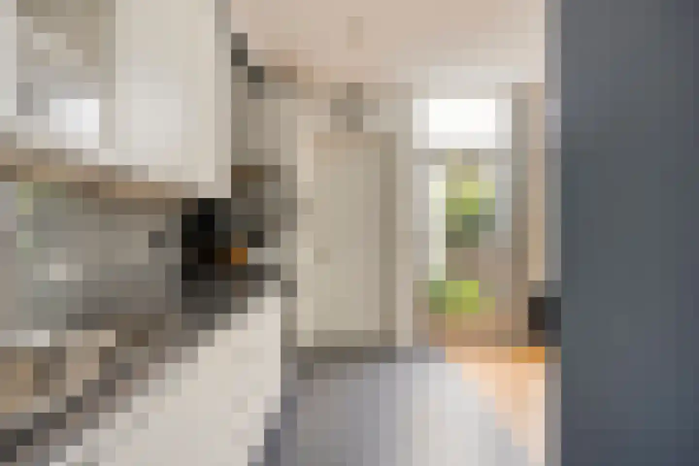 Jan Pieterszoon Coenstraat 1 e Tilburg thumbnail 13