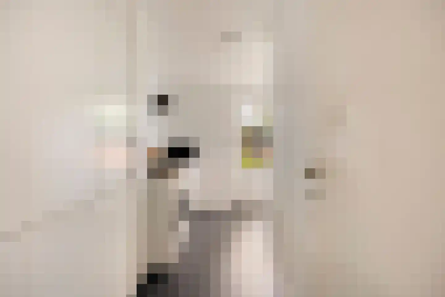 Jan Pieterszoon Coenstraat 1 e Tilburg thumbnail 14
