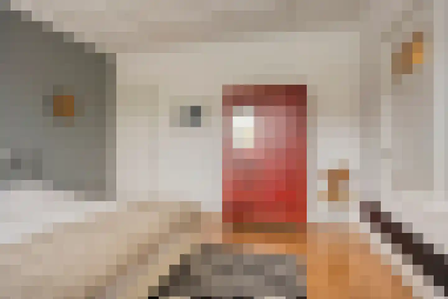 Jan Pieterszoon Coenstraat 1 e Tilburg thumbnail 17