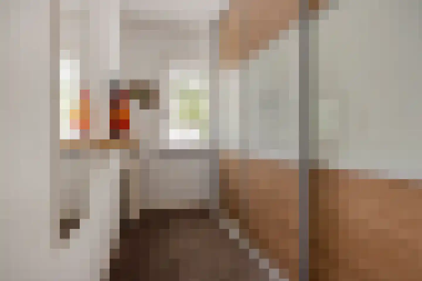 Jan Pieterszoon Coenstraat 1 e Tilburg thumbnail 22