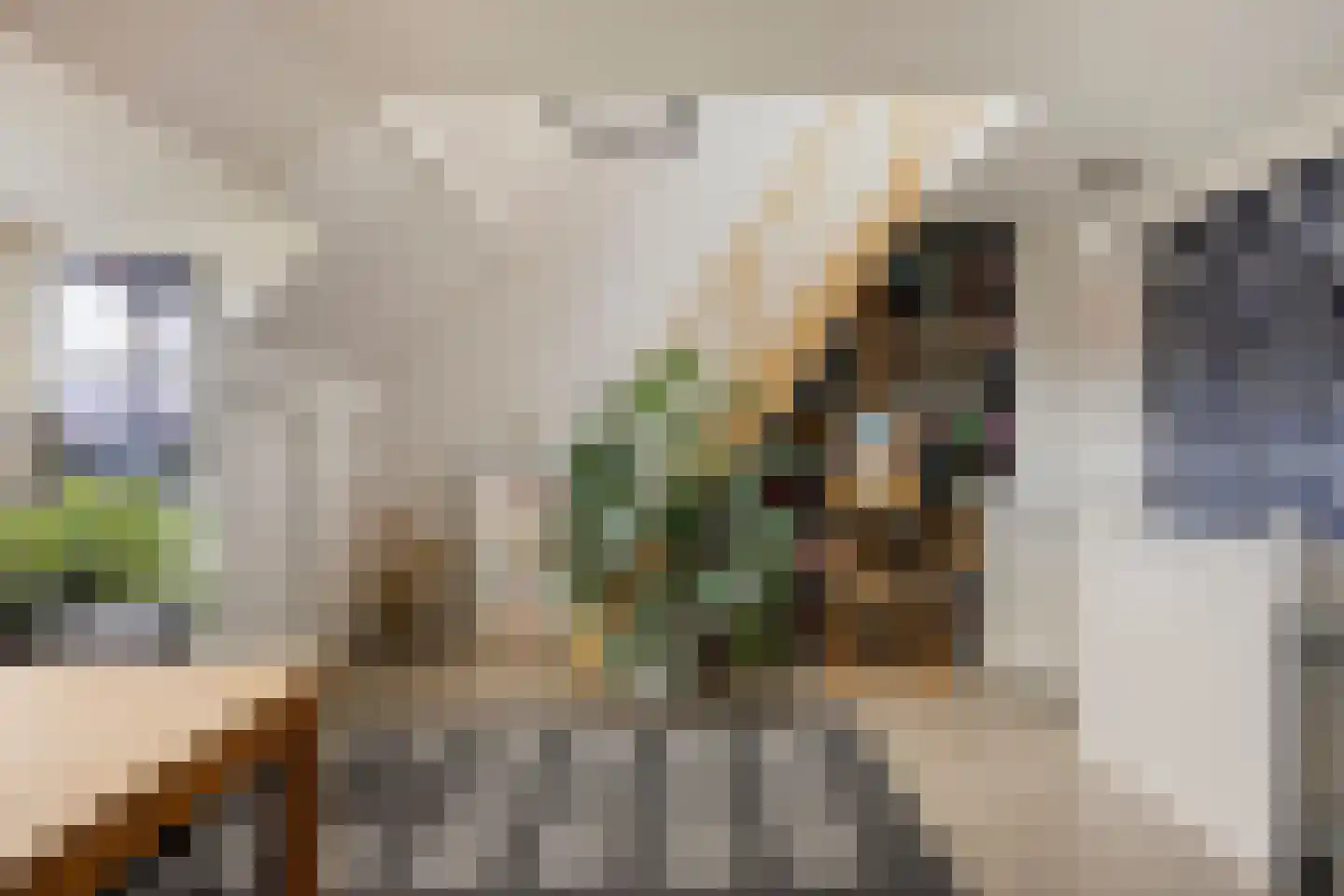 Jan Pieterszoon Coenstraat 1 e Tilburg thumbnail 26