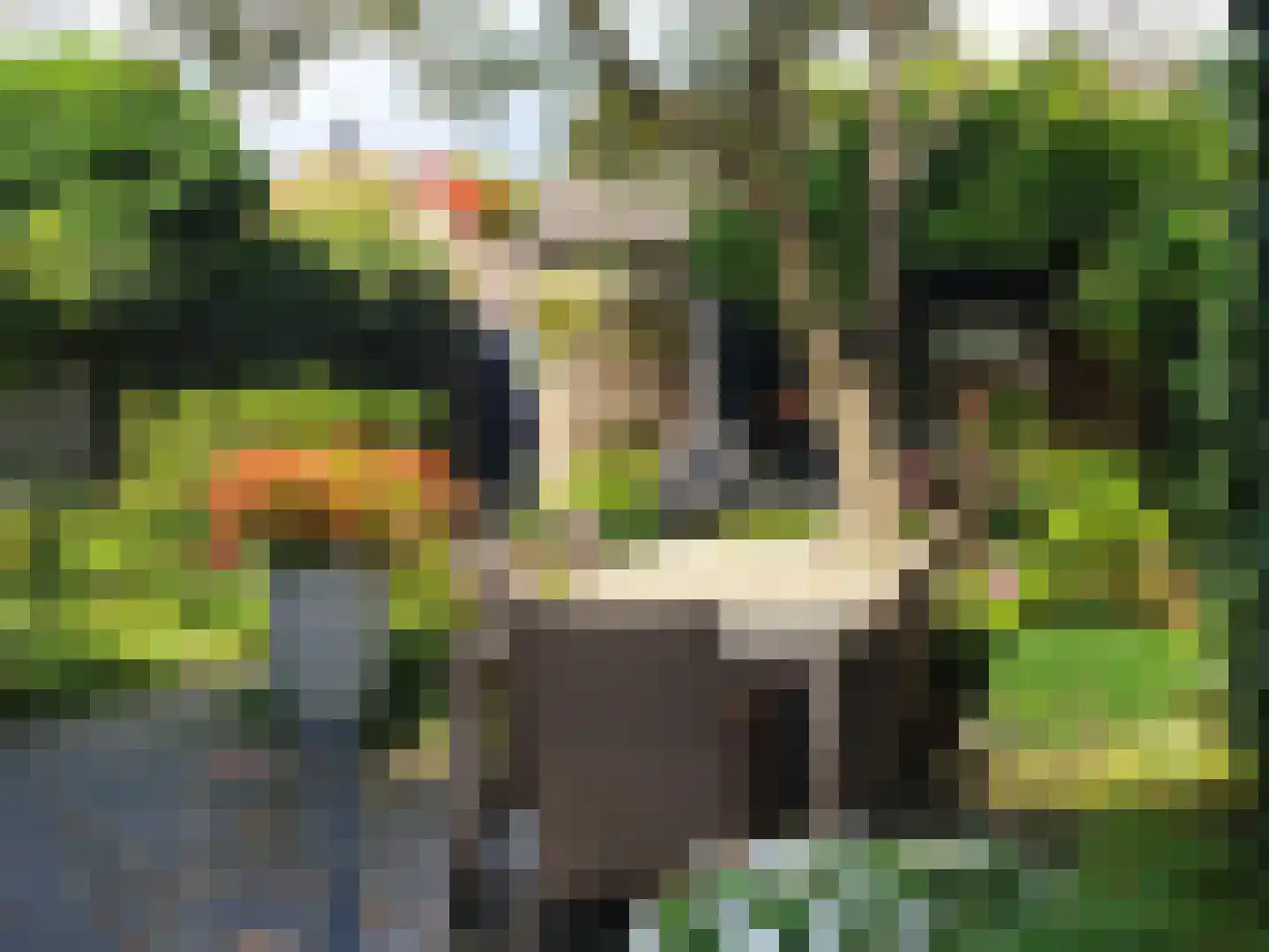 Jan Pieterszoon Coenstraat 1 e Tilburg thumbnail 38