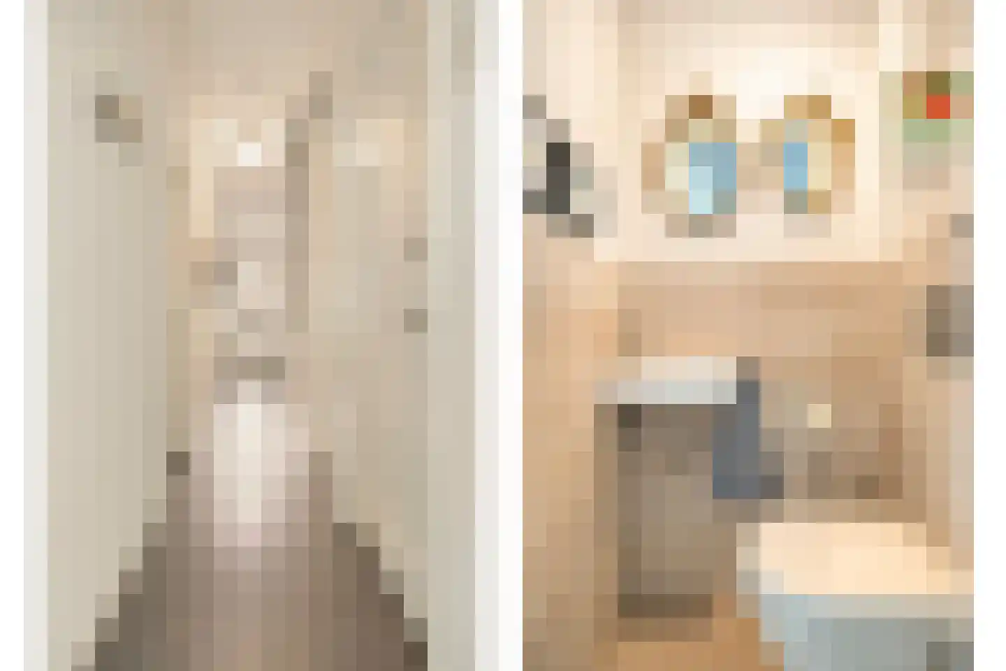 Jan Pieterszoon Coenstraat 1 e Tilburg thumbnail 4