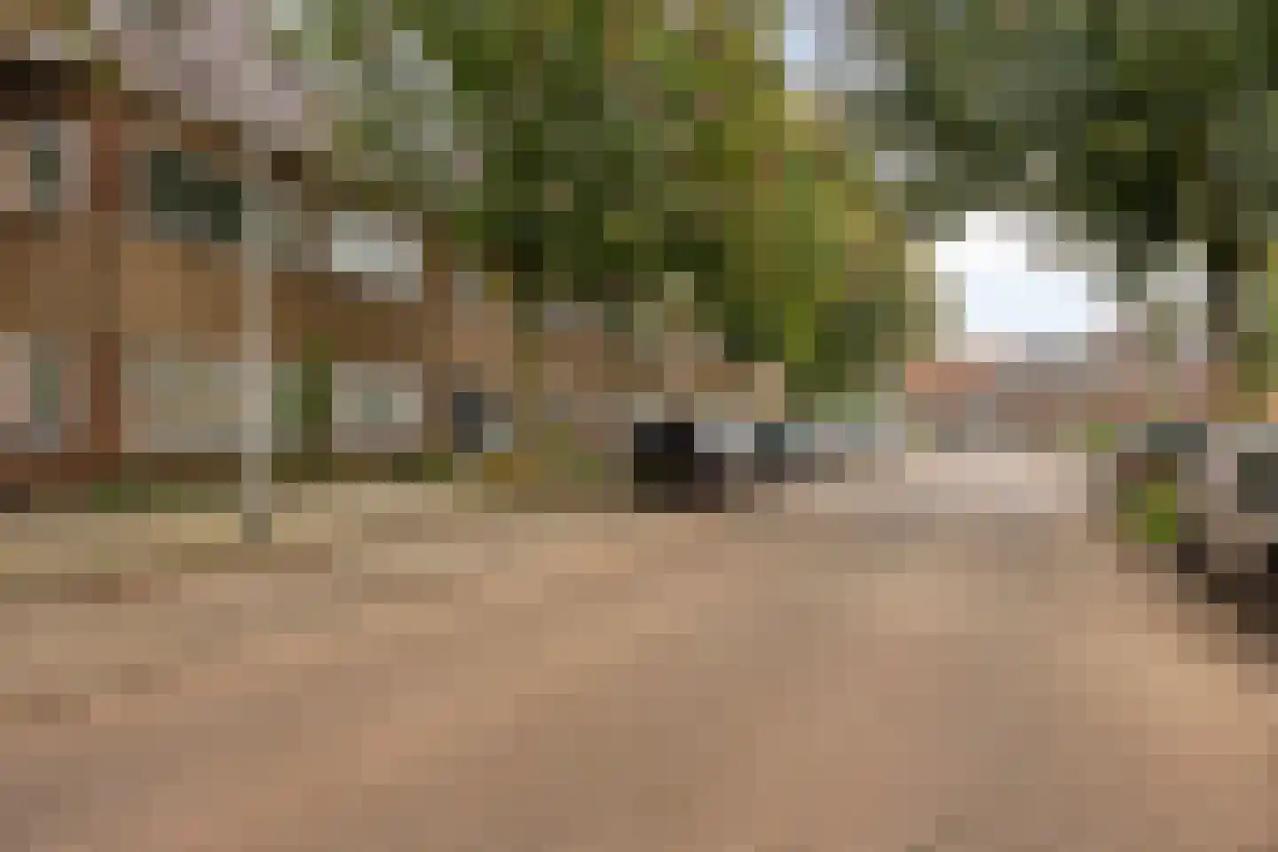 Jan Pieterszoon Coenstraat 1 e Tilburg thumbnail 41