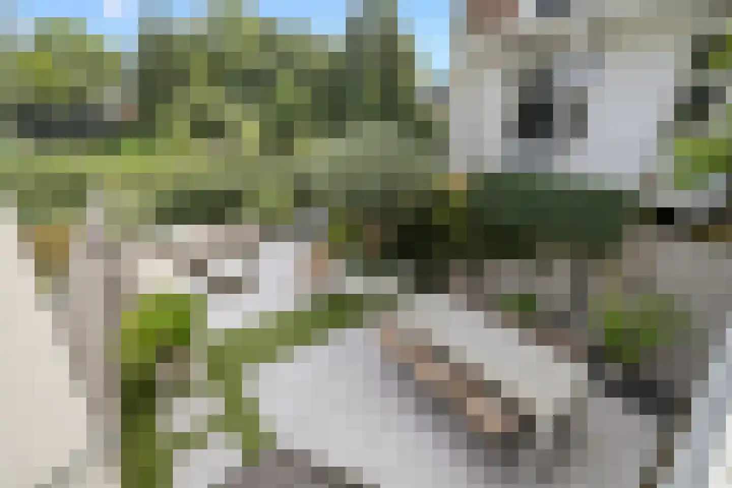 Jan Pieterszoon Coenstraat 1 Utrecht thumbnail 15