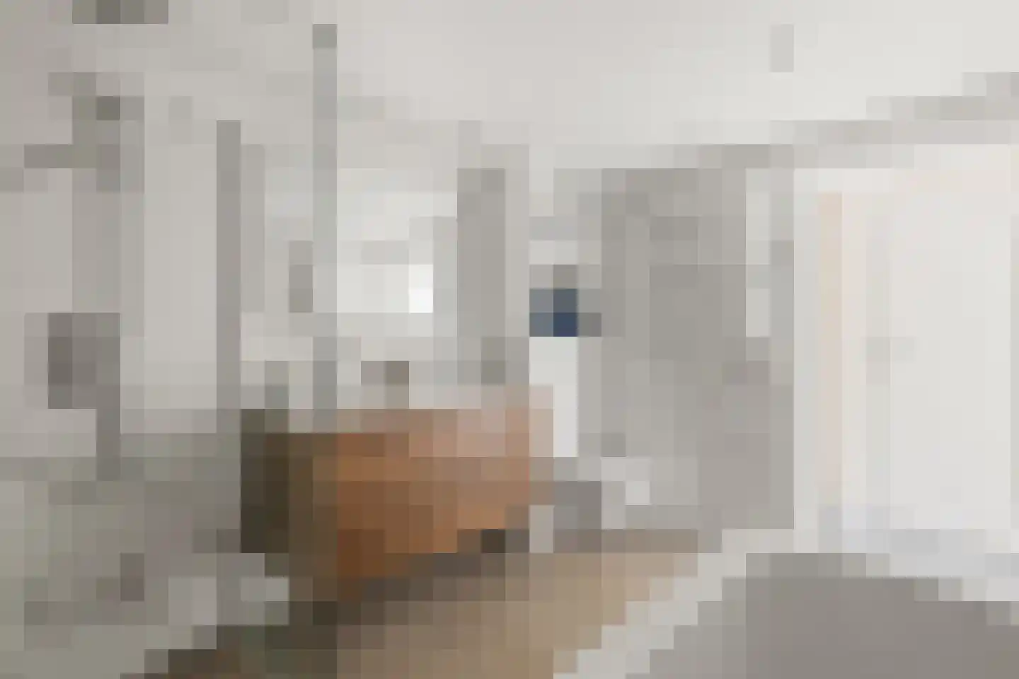 Jan Pieterszoon Coenstraat 1 Utrecht thumbnail 36