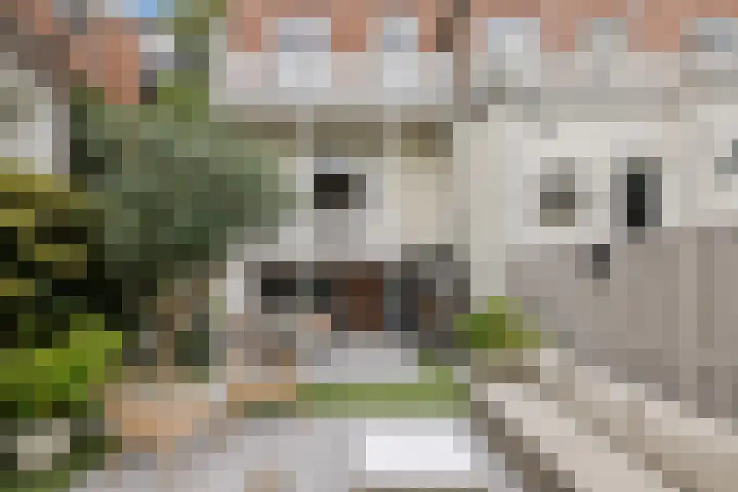 Jan Pieterszoon Coenstraat 1 Utrecht thumbnail 50