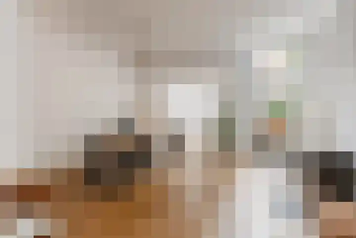 Jan Pieterszoon Coenstraat 100 Utrecht thumbnail 7