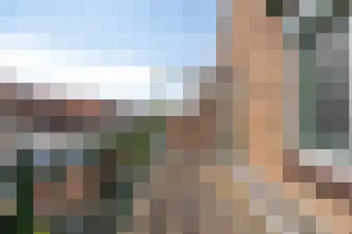 Jan Pieterszoon Coenstraat 107 IJmuiden thumbnail 32