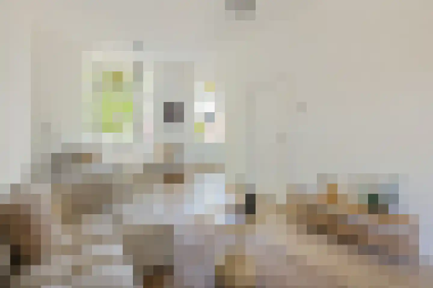 Jan Pieterszoon Coenstraat 117 BS Utrecht thumbnail 15