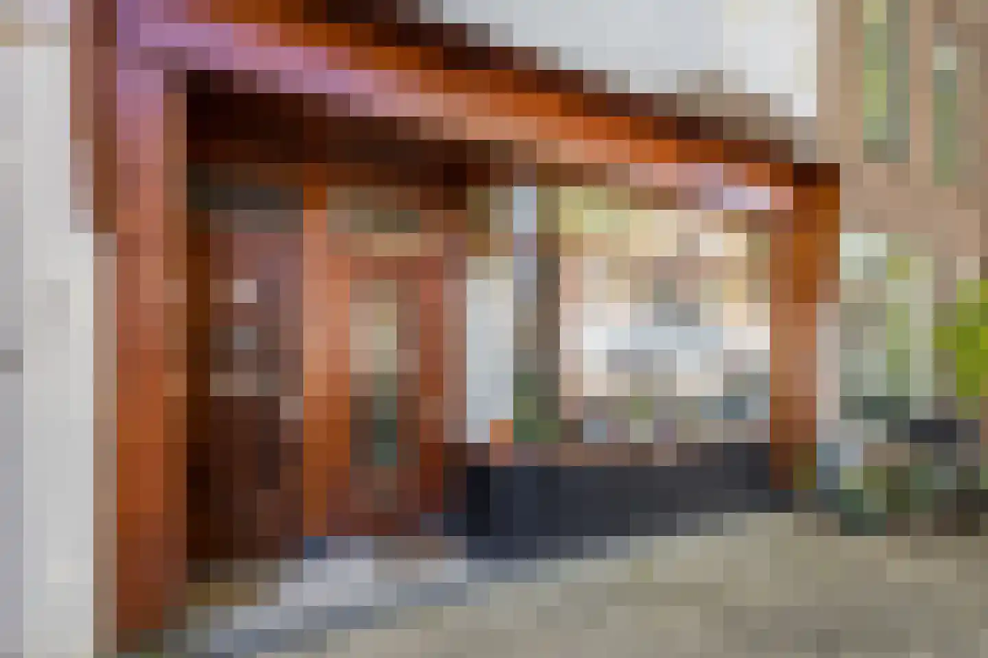 Jan Pieterszoon Coenstraat 117 BS Utrecht thumbnail 5