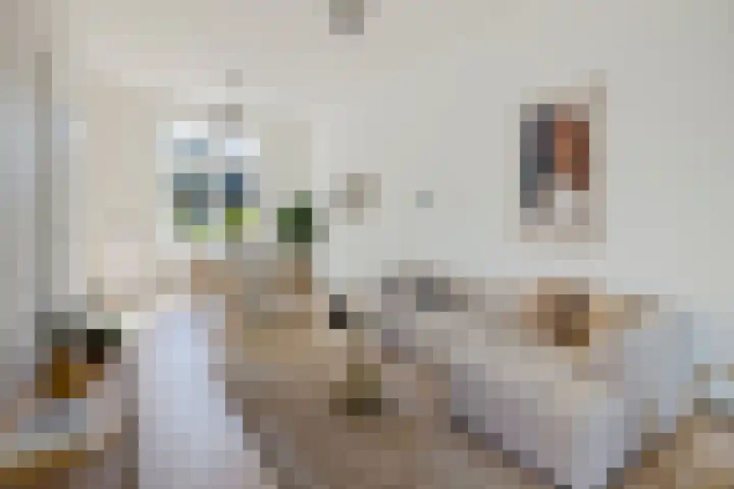 Jan Pieterszoon Coenstraat 117 BS Utrecht thumbnail 6