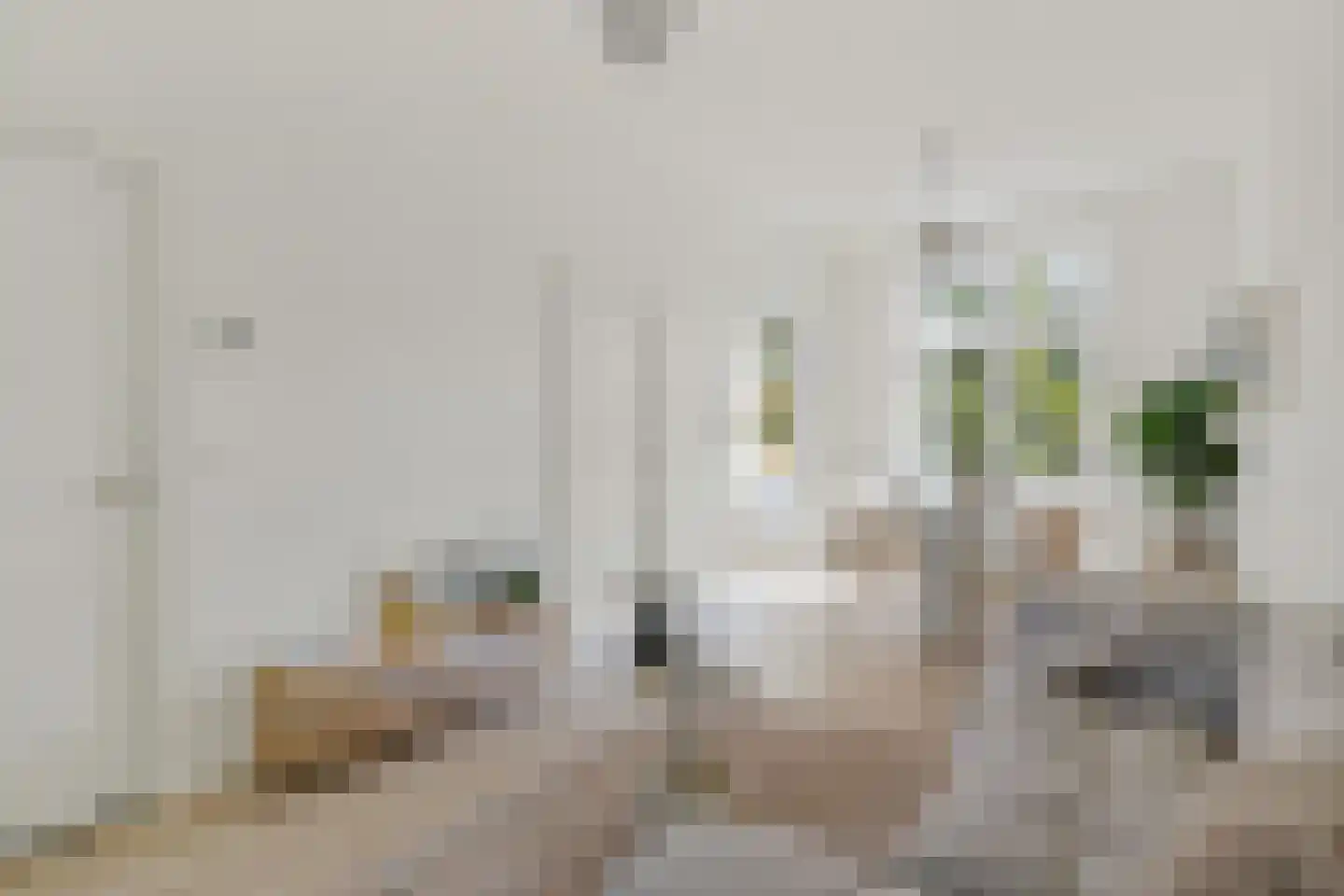 Jan Pieterszoon Coenstraat 117 BS Utrecht thumbnail 7