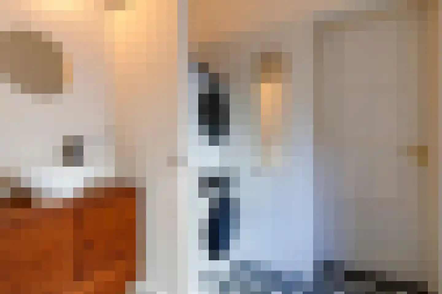 Jan Pieterszoon Coenstraat 123 Utrecht thumbnail 27