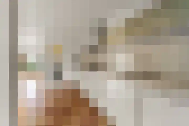 Jan Pieterszoon Coenstraat 2 Rheden thumbnail 13