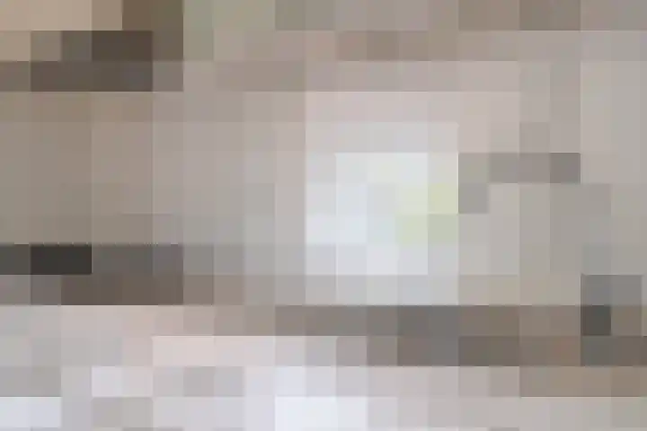 Jan Pieterszoon Coenstraat 2 Rheden thumbnail 14