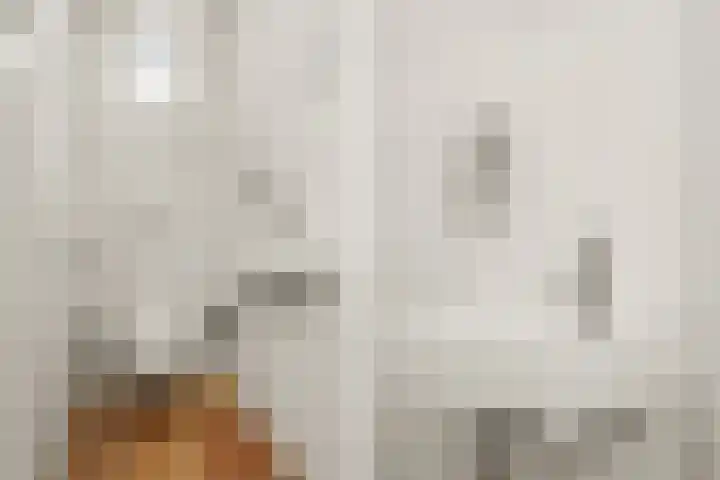 Jan Pieterszoon Coenstraat 2 Rheden thumbnail 16
