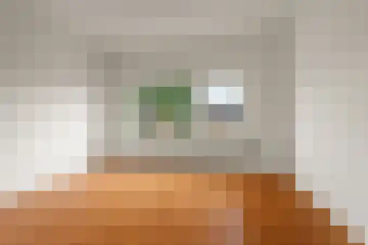Jan Pieterszoon Coenstraat 2 Rheden thumbnail 18