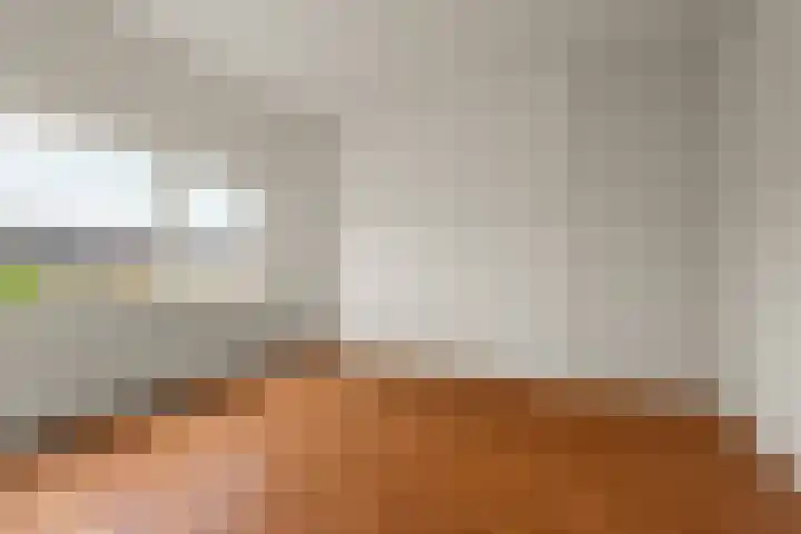 Jan Pieterszoon Coenstraat 2 Rheden thumbnail 19