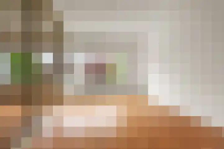 Jan Pieterszoon Coenstraat 2 Rheden thumbnail 20