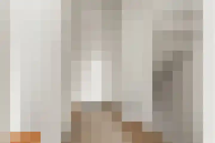 Jan Pieterszoon Coenstraat 2 Rheden thumbnail 25