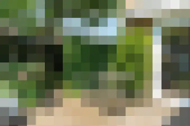 Jan Pieterszoon Coenstraat 2 Rheden thumbnail 31